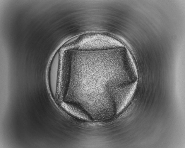 X0000095931243200802011015