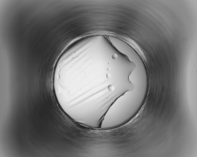X0000095931244200802011015