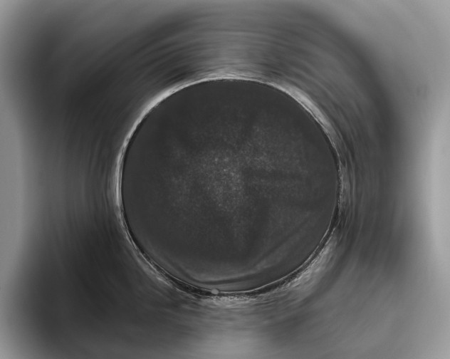 X0000095931246200802011015