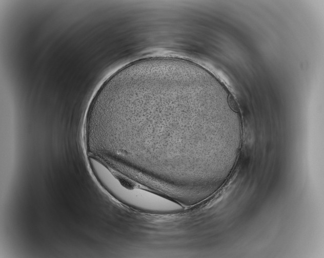 X0000095931247200802011015