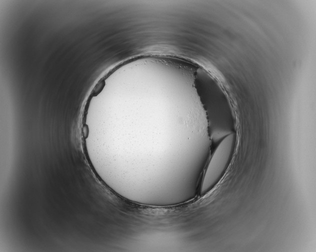 X0000095931248200802011015