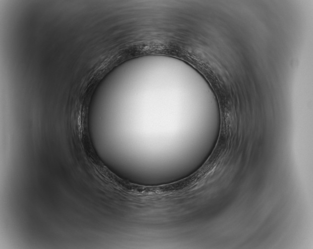 X0000095931250200802011014
