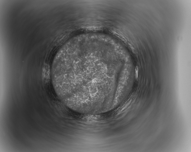 X0000095931251200802011014