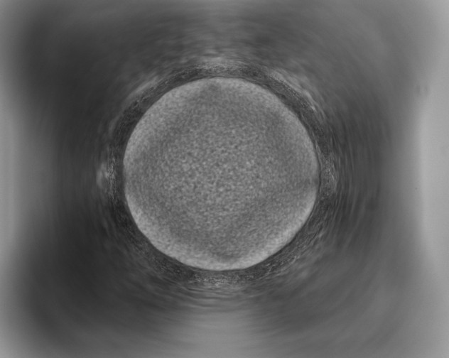 X0000095931254200802011014