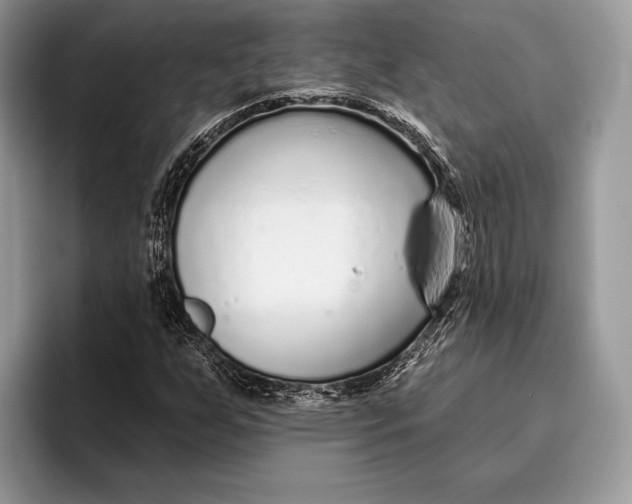 X0000095931255200802011014