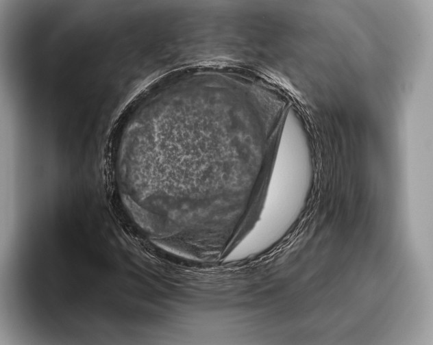 X0000095931256200802011014
