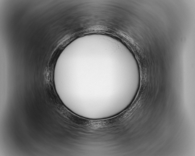 X0000095931258200802011014