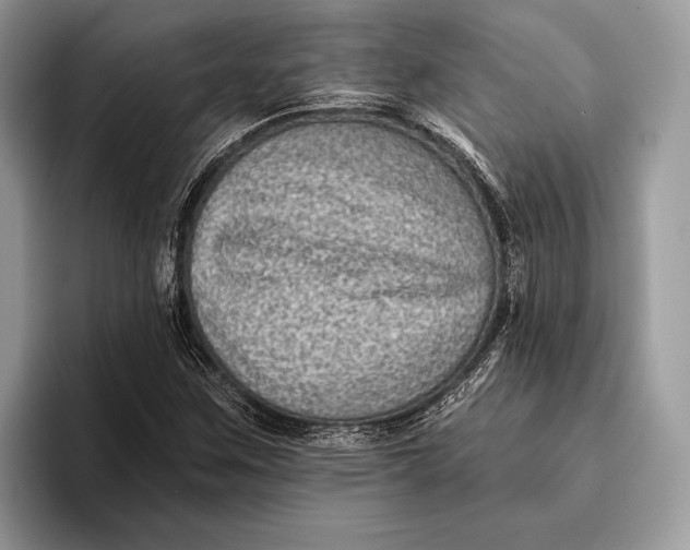 X0000095931259200802011014