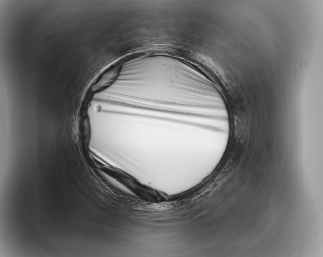 X0000095931260200802011014