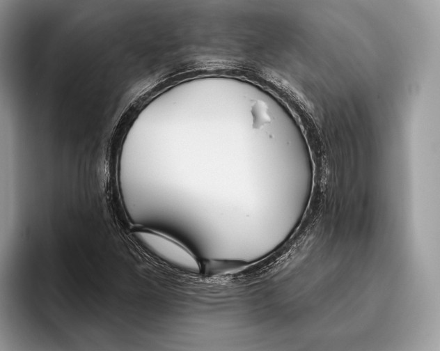 X0000095931261200802011014