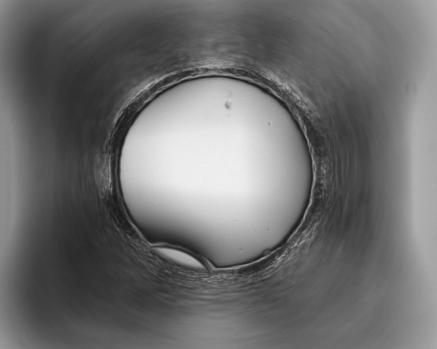 X0000095931262200802011014