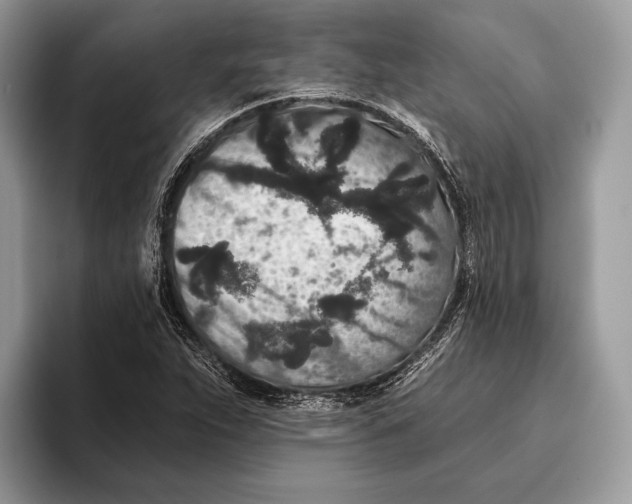 X0000095931263200802011014