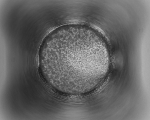 X0000095931267200802011014