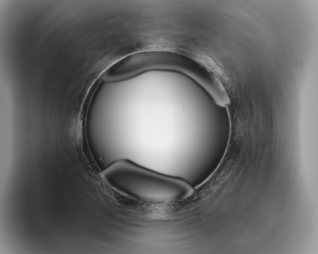 X0000095931268200802011014