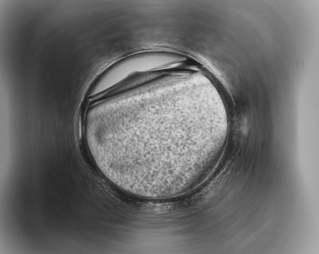 X0000095931269200802011014