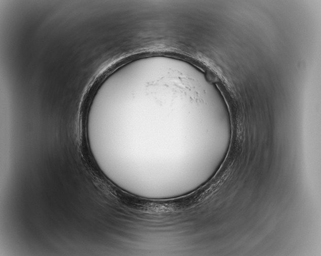X0000095931270200802011014