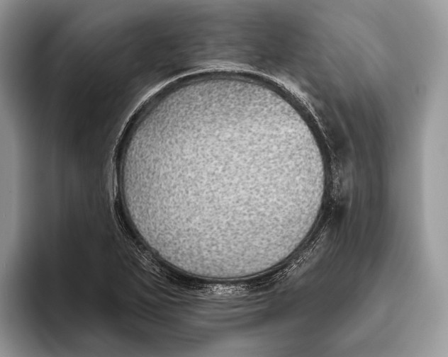 X0000095931271200802011014