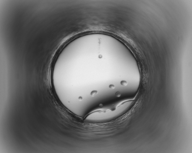 X0000095931272200802011014