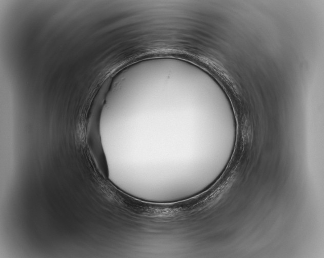 X0000095931273200802011014