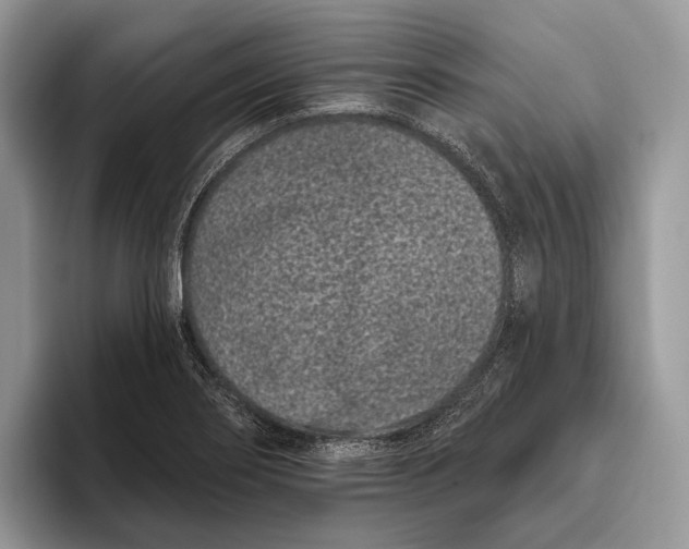 X0000095931274200802011014