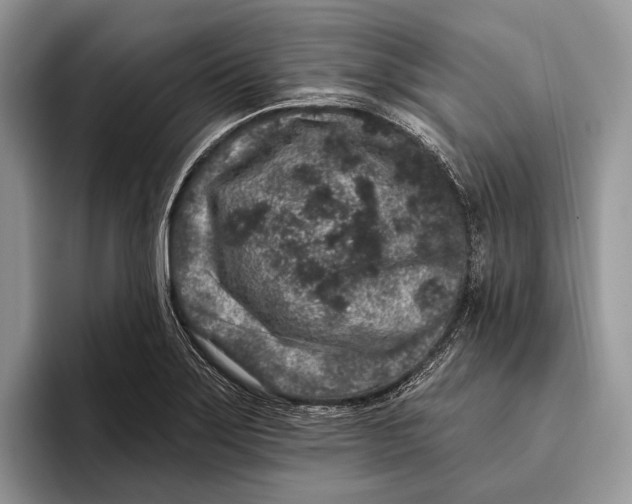 X0000095931275200802011014