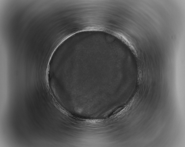 X0000095931276200802011014