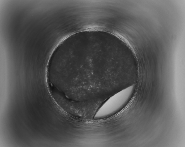 X0000095931277200802011014
