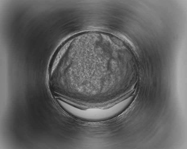 X0000095931280200802011014