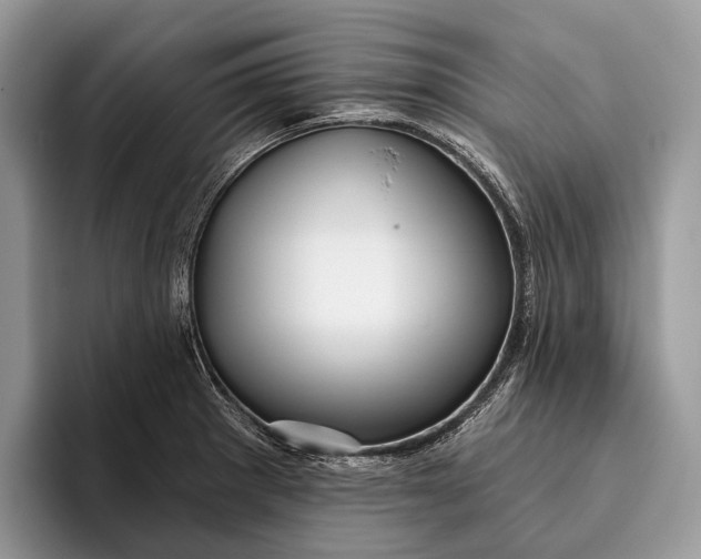 X0000095931281200802011014