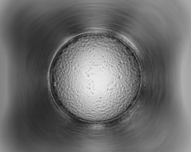 X0000095931283200802011014