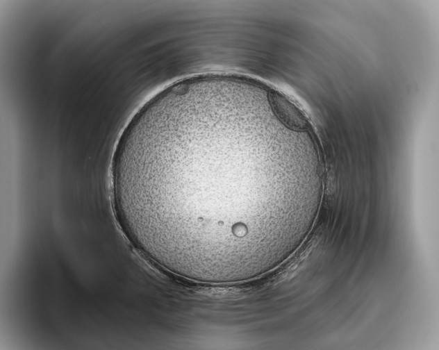 X0000095931287200802011014