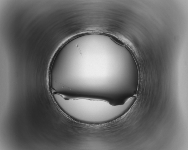 X0000095931288200802011014