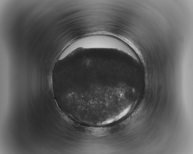 X0000095931289200802011014