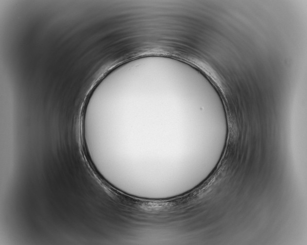 X0000095931290200802011014