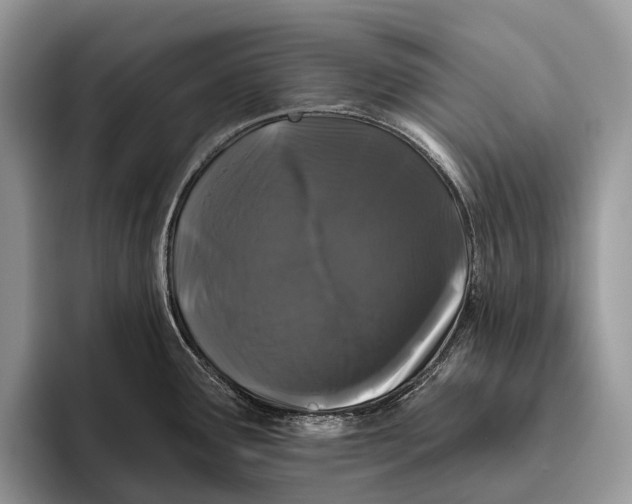 X0000095931291200802011013