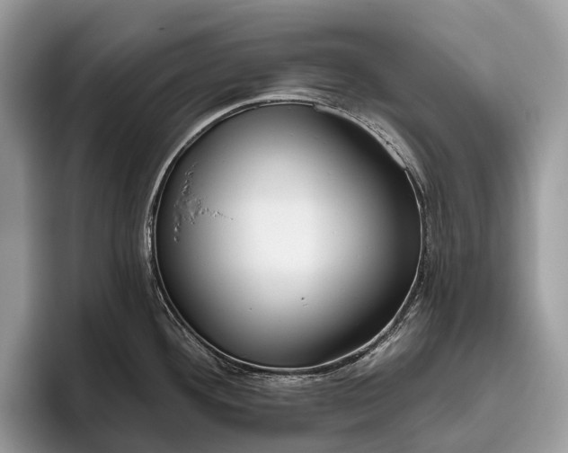 X0000095931292200802011013