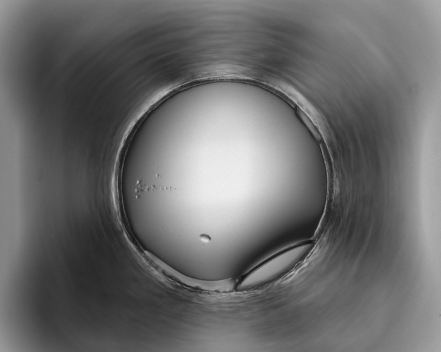 X0000095931293200802011013