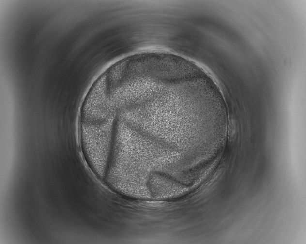 X0000095931295200802011013
