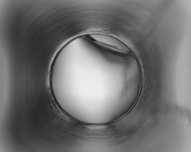 X0000095931296200802011013
