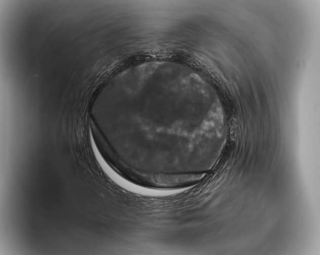 X0000095931298200802011013