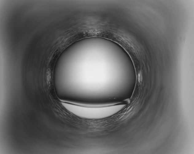 X0000095931299200802011013