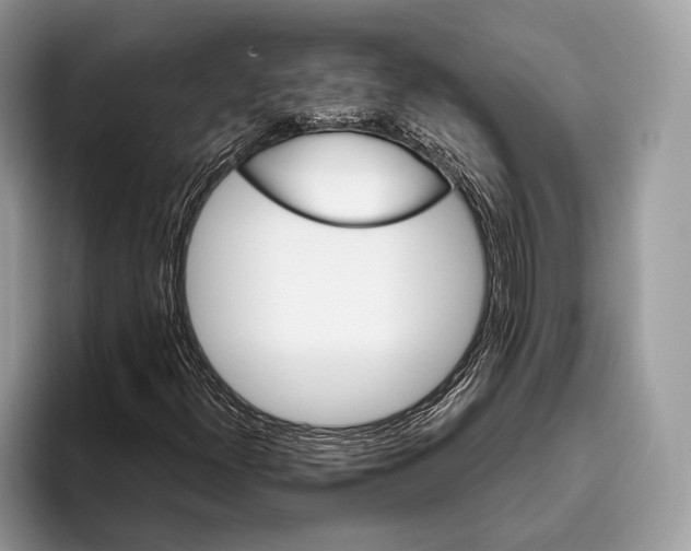 X0000095931300200802011013