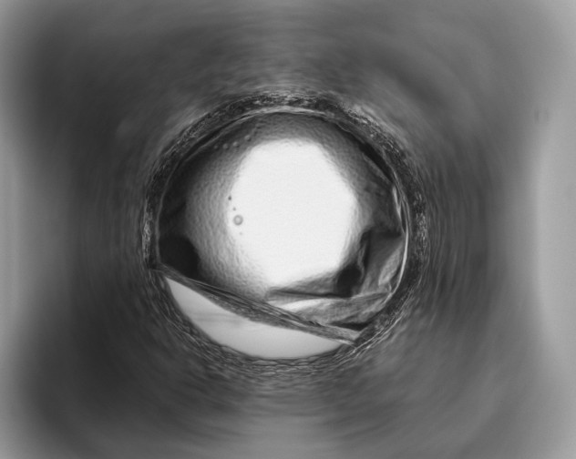 X0000095931302200802011013