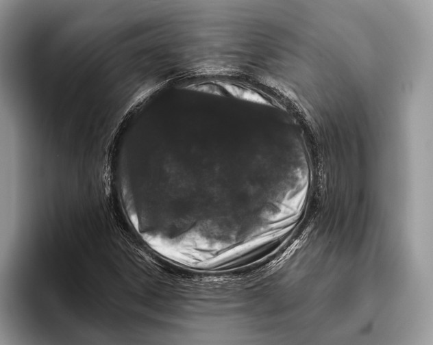 X0000095931306200802011013