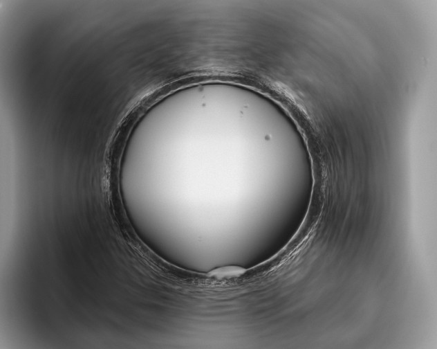 X0000095931307200802011013