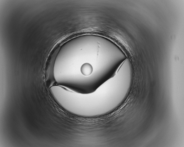 X0000095931308200802011013