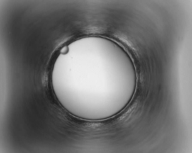 X0000095931309200802011013