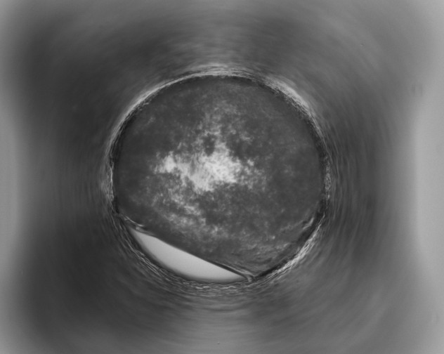 X0000095931310200802011013