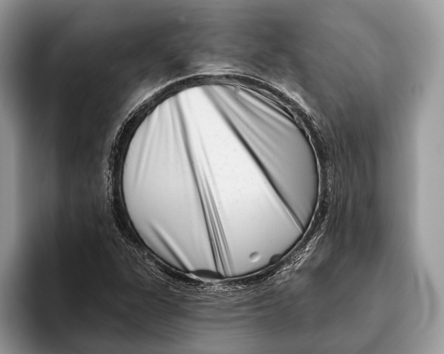 X0000095931311200802011013