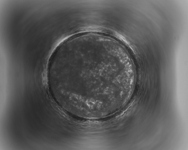 X0000095931312200802011013